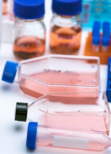[GEN - CSI083Rb01-500k] Primary BMMSCs Cell, Rabbit